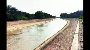 Canal water flowing through farmland distributary in rural Jhunjhunu for Kharif irrigation