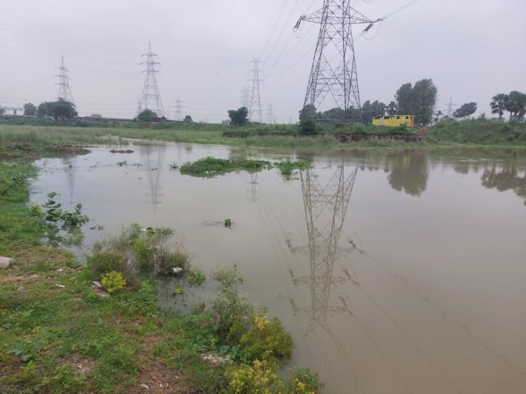 उदयपुरवाटी के खेतों में भारी बारिश के बाद भरा पानी