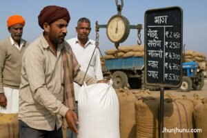 झुंझुनूं मंडी में सरसों और ग्वार के ताज़ा भाव 5 नवंबर 2025